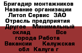 Бригадир монтажников › Название организации ­ Литоп-Сервис, ЗАО › Отрасль предприятия ­ Другое › Минимальный оклад ­ 23 000 - Все города Работа » Вакансии   . Калужская обл.,Калуга г.